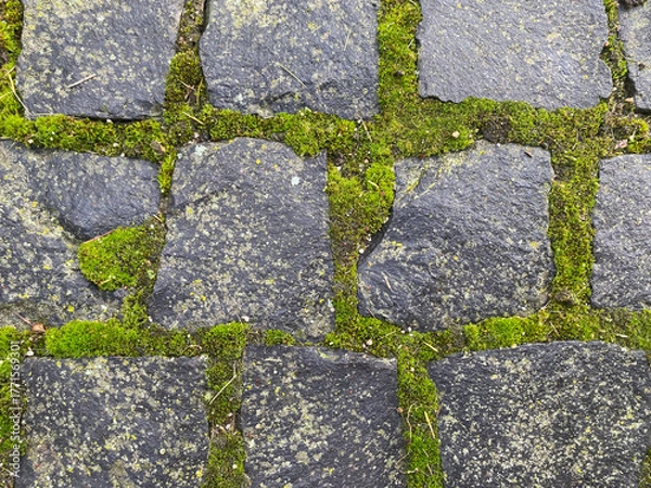 Fototapeta moosiges Granitpflaster
