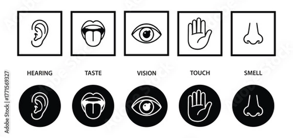 Fototapeta Human senses icon set. Vision eye, smell nose, hearing ear, touch hand, taste mouth with tongue. Simple line icons and black circle. Five senses of human nervous system. Vector illustration.