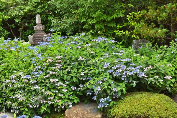 Obraz 霊源院の庭園