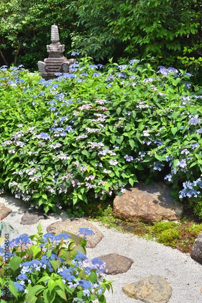 Obraz 霊源院の庭園