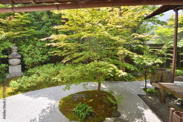 Obraz 霊源院の庭園