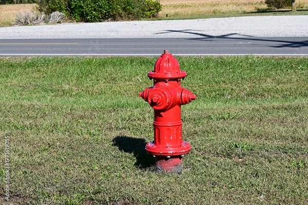Obraz red fire hydrant