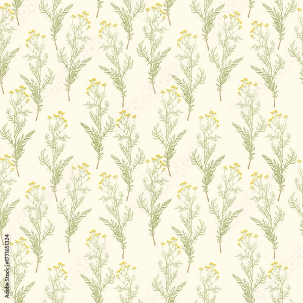 Fototapeta seamless floral pattern with summer herbs. Tissue design