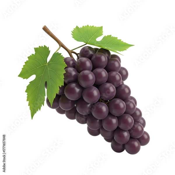 Fototapeta Ripe dark purple grapes, with green leaves on a vine, isolated on white or transparent background. PNG