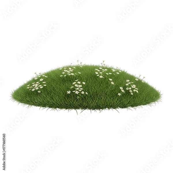 Fototapeta Lush green grassy mound, with small white wildflowers, isolated on white or transparent background. PNG