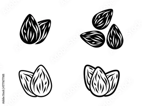 Obraz Almond Icon Set, Nut Vector Illustration Isolated on White Background