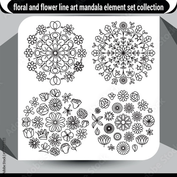 Fototapeta Intricate floral flower line art mandala elements collection decorative patterns vector