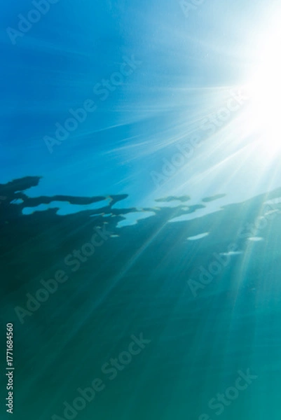 Fototapeta Die Sonne scheint durch die Wasseroberfläche