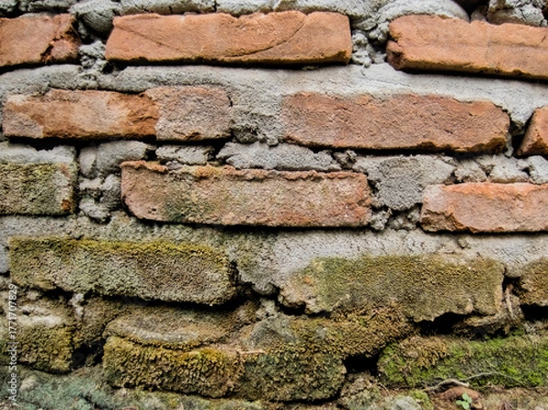 Fototapeta Texture of weathered brick wall with cement mortar and green moss