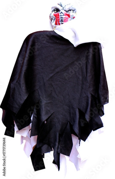 Obraz ghost on transparent background