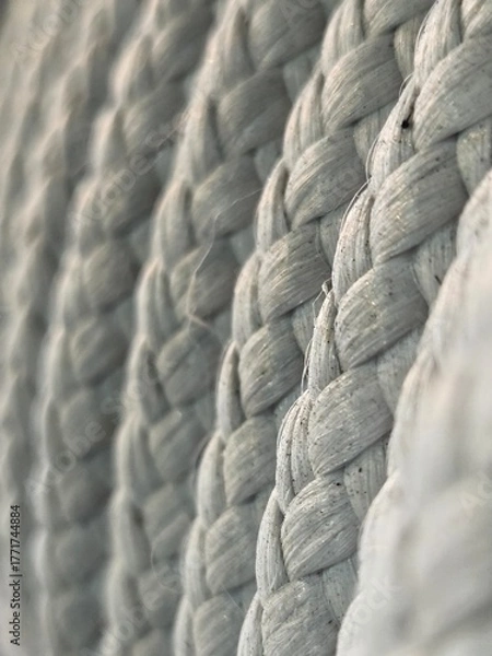 Fototapeta White rope.