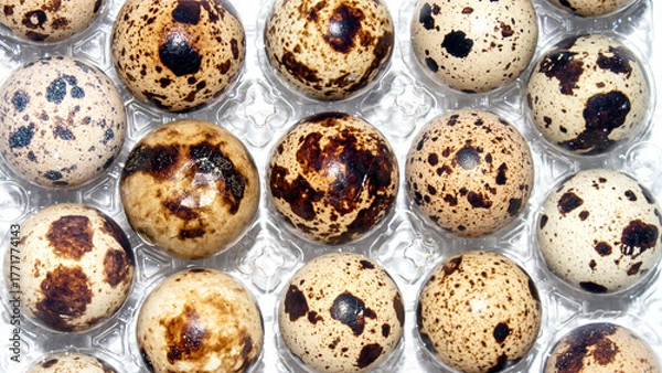 Fototapeta Quail eggs are a dietary food product.Quail eggs background.Quail eggs in a package.Quail eggs.
