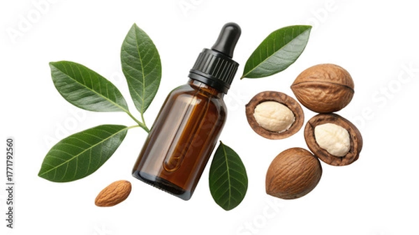 Obraz Bottle of macadamia oil with nuts and leaves isolated on transparent background