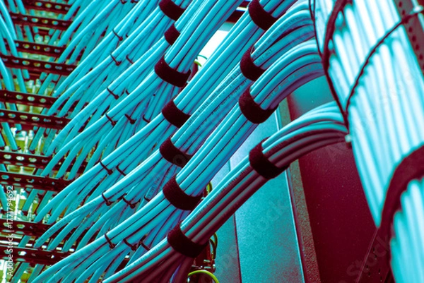 Fototapeta Blue Data Cables in Server Room Setup