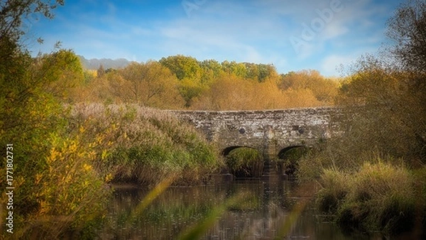 Obraz old stone bridge over the river
