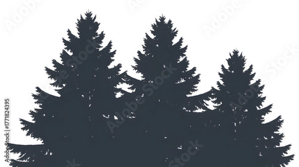Obraz Dark silhouette of pine trees against a black sky isolated on transparent background