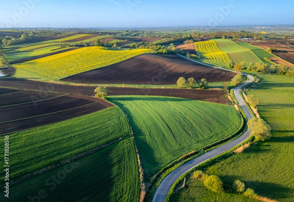 Fototapeta Aerial view of winding road in Ponidzie region, surrounded by picturesque farmlands (crop fields) during sunrise, Poland