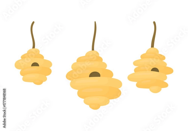 Fototapeta Set of bee hives on a branch on a white background. Beekeeping.