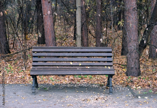 Fototapeta Empty old brown wooden bench in the autumn park against yellow foliage and tree trunks front view