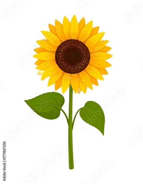 Obraz Vibrant Sunflower Illustration - A Symbol of Summer and Happiness.