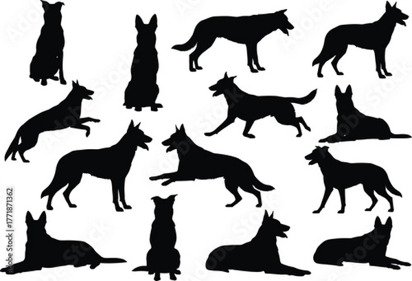 Fototapeta German shepherd dog silhouette vector collection showing various poses, sitting, running, standing and lying positions, perfect for pet design and decoration