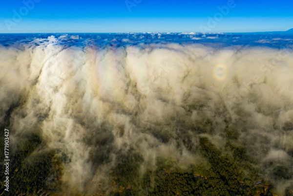 Fototapeta Cloud waterfall, Cumbre Nueva, La Palma, Canary Islands