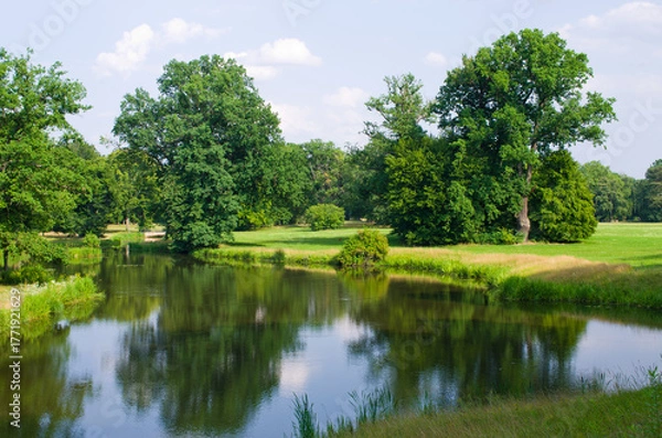 Obraz Serene park lake reflects lush green trees and blue sky