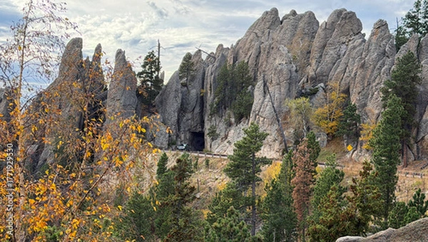 Fototapeta Needles Highway shows road, tunnel & Black Hills in South Dakota. Pointed mountains look like needles. Road curves as auto leaves one of many tunnels. Road is for auto tours. Trees show fall yellow.