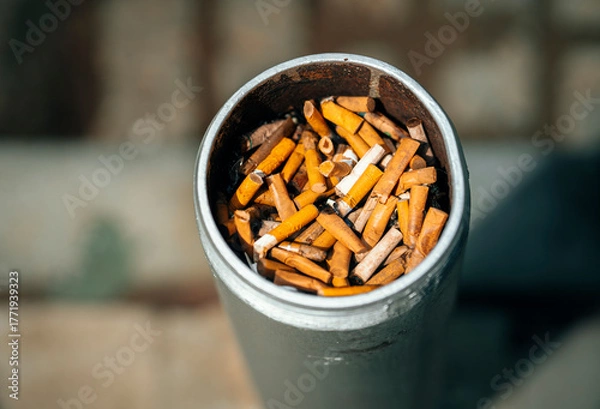 Fototapeta cigarette butts in an ashtray 
