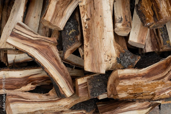 Obraz Split firewood with bark close-up