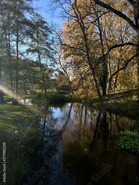 Fototapeta Scenic autumn landscape with a calm river, trees with golden leaves, and morning sunlight shining through branches. Peaceful nature scene ideal for seasonal design and relaxation themes.