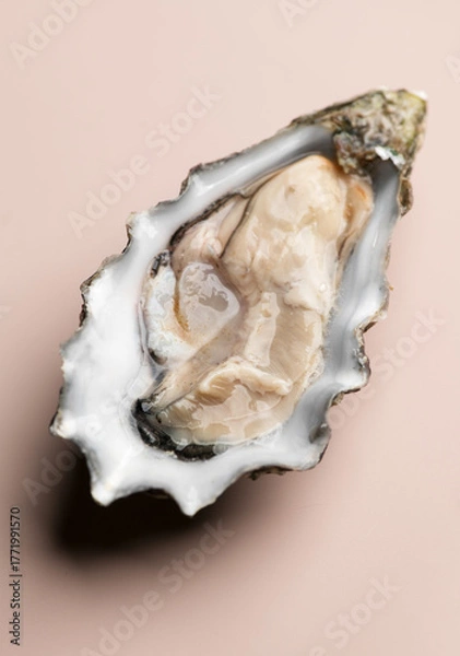 Fototapeta One oyster on beige background, macro shot of open fresh french Fine de Claire oyster. Gourmet food. Seafood. Macro shot, vertical image. Top view, from above. 
