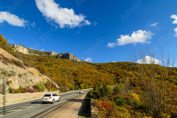 Obraz driving on the road