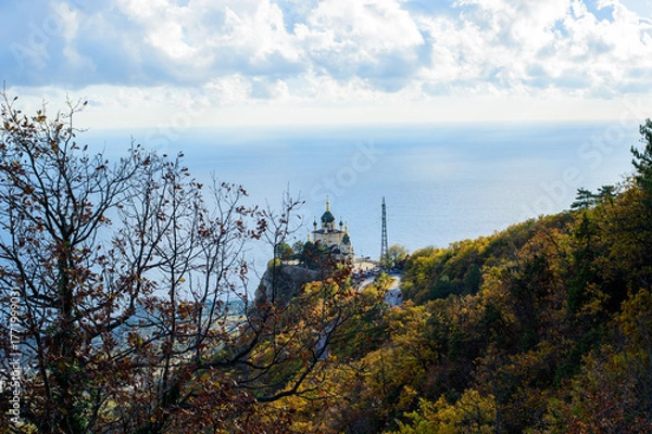 Obraz pine tree in the mountains