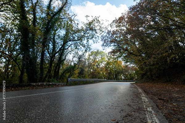 Obraz road in the forest