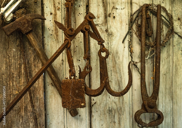 Obraz Close-up of a set of old, heavily rusted tools, including a hammer, butcher or weighing hooks, and tongs. They hang over an old, aged wooden wall.