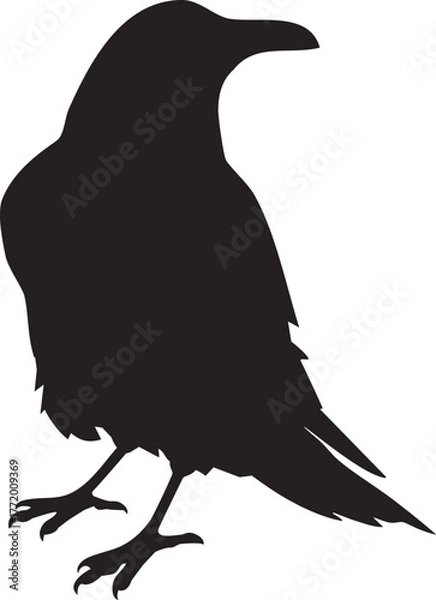 Obraz Vector Raven Silhouette