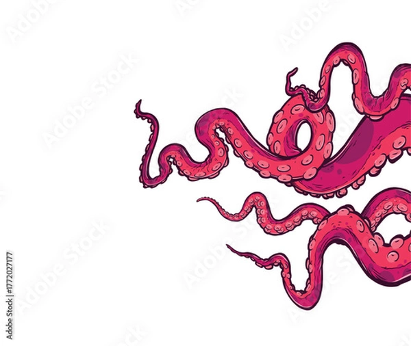 Fototapeta Tentacles of octopus, vector hand drawn collection of illustrations. Black and white engraving style drawings. Tentacle straight and with rings in different angles.