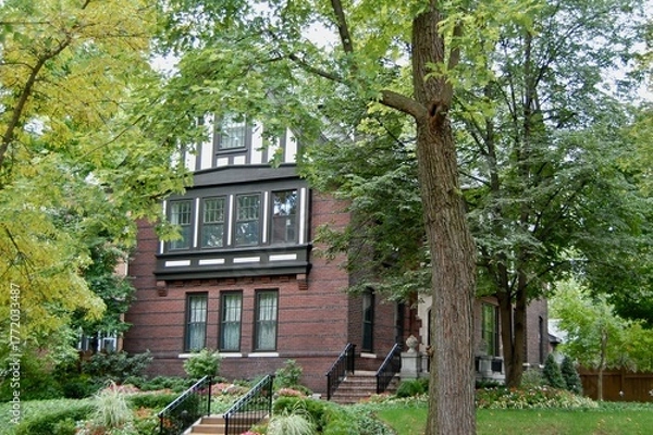 Obraz St. Louis residence