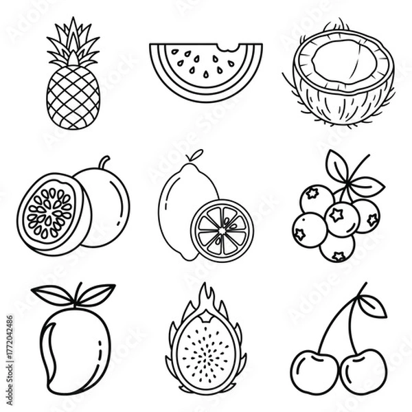 Obraz Line art of assorted tropical fruits perfect for illustrations