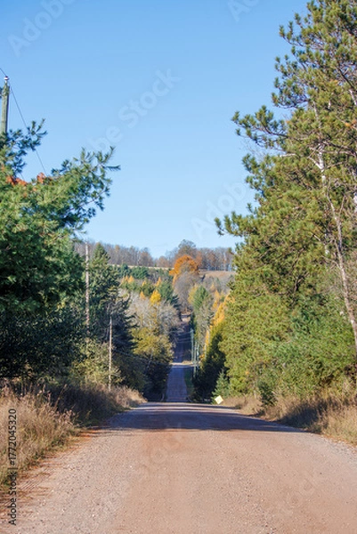 Obraz road in autumn forest
