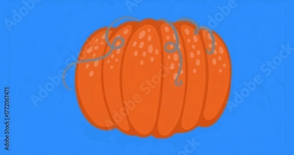 Fototapeta Displaying orange pumpkin showing ridges on bright blue canvas, with curly grey vines