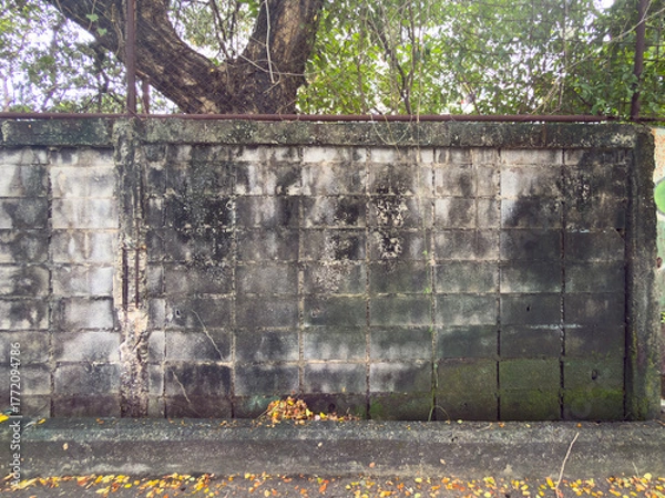 Fototapeta old concrete wall texture 
