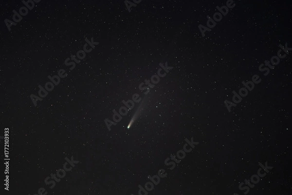 Obraz Comet C/2025 A6 (Lemmon) captured on October 29, 2025, at its perihelion — the closest point to the Sun. The bright nucleus and faint ion tail are visible against the dark night sky 