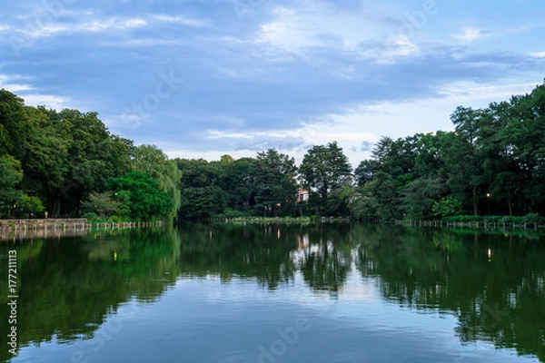 Obraz 東京　善福寺池１