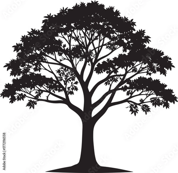 Obraz  Gulmohar Tree Silhouette Vector Illustration