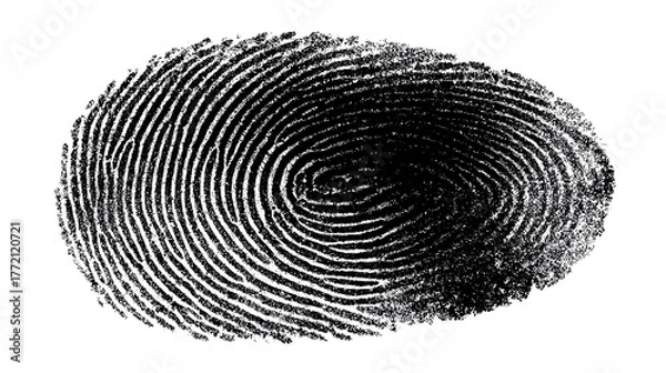 Fototapeta Intricate Fingerprint Detail: A close-up view reveals the complex, unique ridges of a fingerprint, symbolizing identity and individuality.