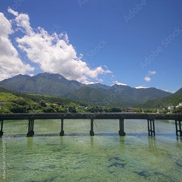 Obraz 屋久島の風景