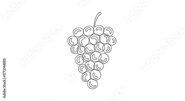 Obraz Detailed illustration of a bunch of grapes