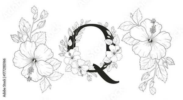 Fototapeta Elegant black and white line art illustration showcasing a decorative uppercase Q adorned with hibiscus flowers and foliage, flanked by two floral elements.